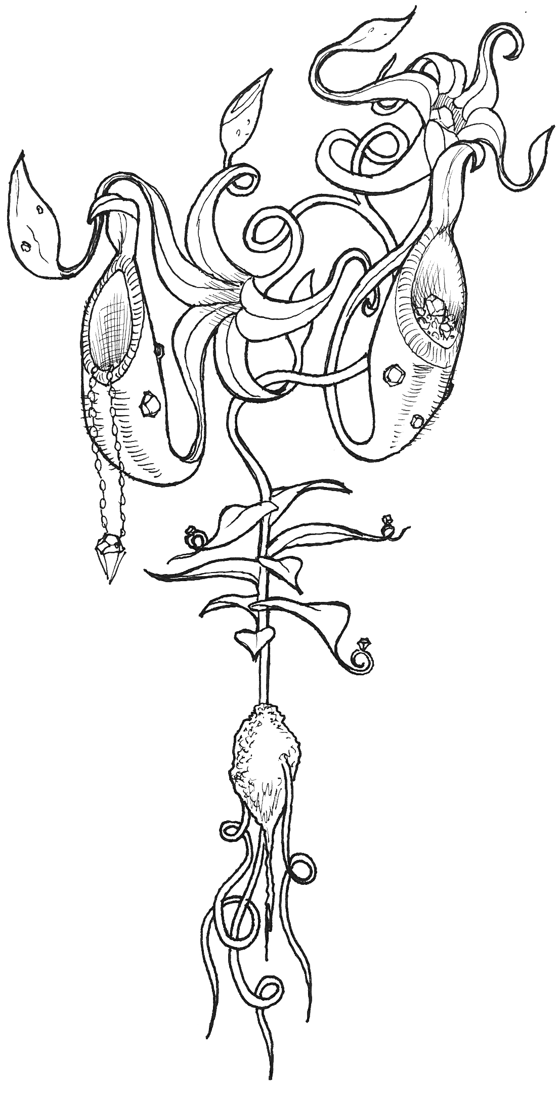 Pitcher plant, ink