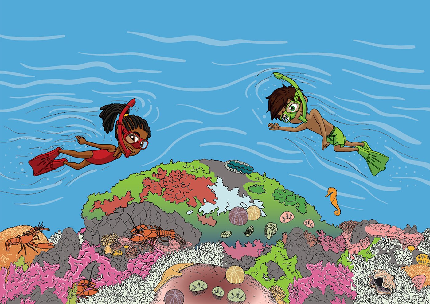 Snorkelling reef spread