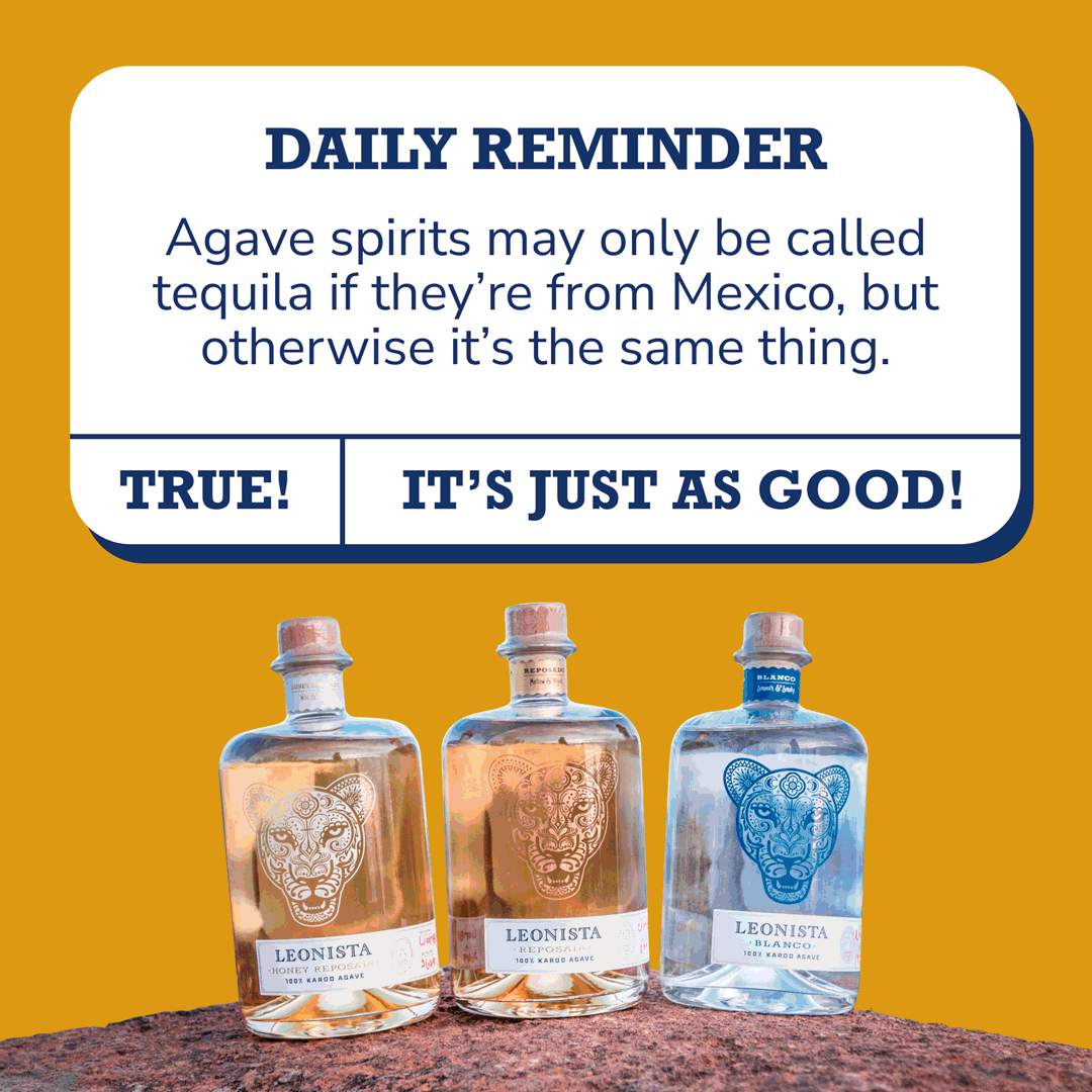 Leonista, agave daily reminder animation